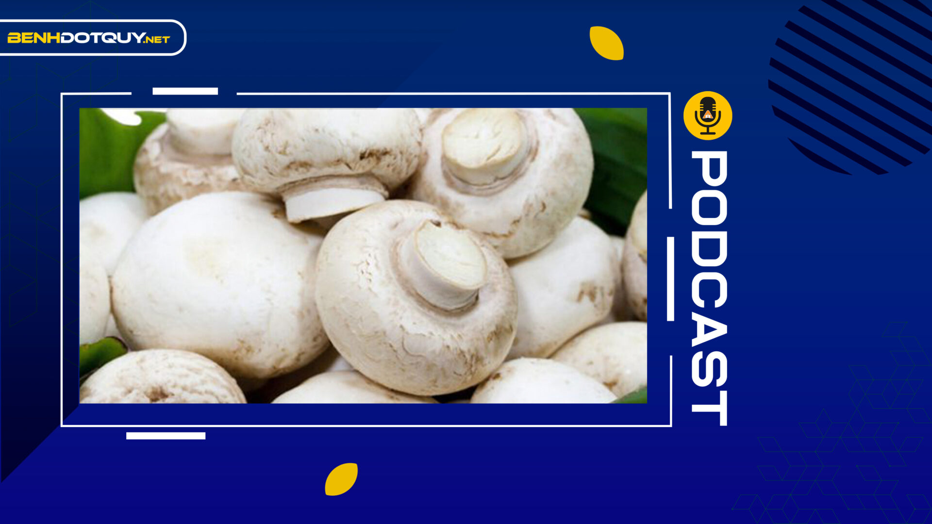 Loại nấm bé nhỏ nhưng lại là “thuốc” hạ mỡ máu, kiểm soát đường huyết tự nhiên