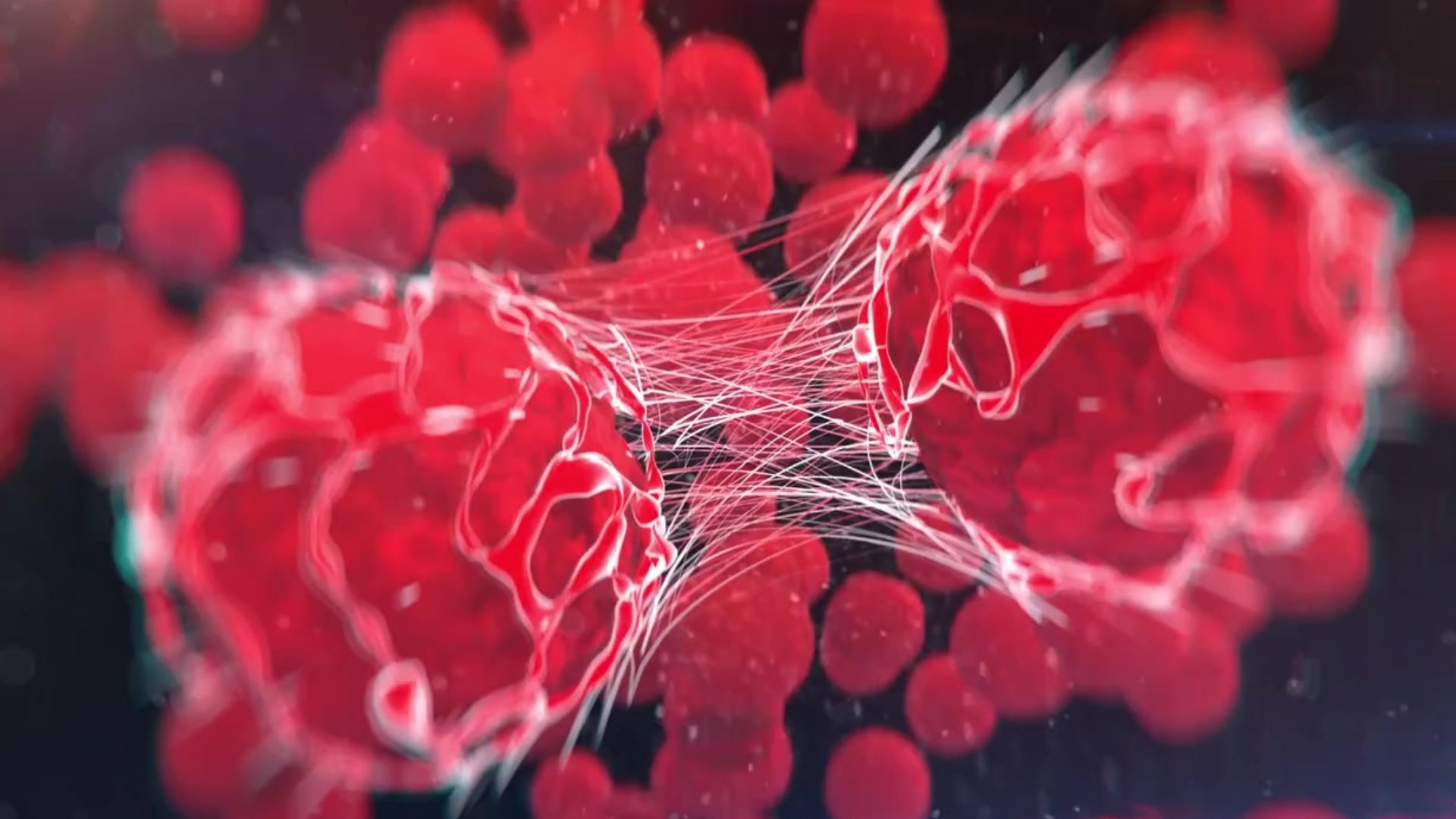 Rối loạn đông máu: Nguyên nhân tiềm ẩn gây đột quỵ