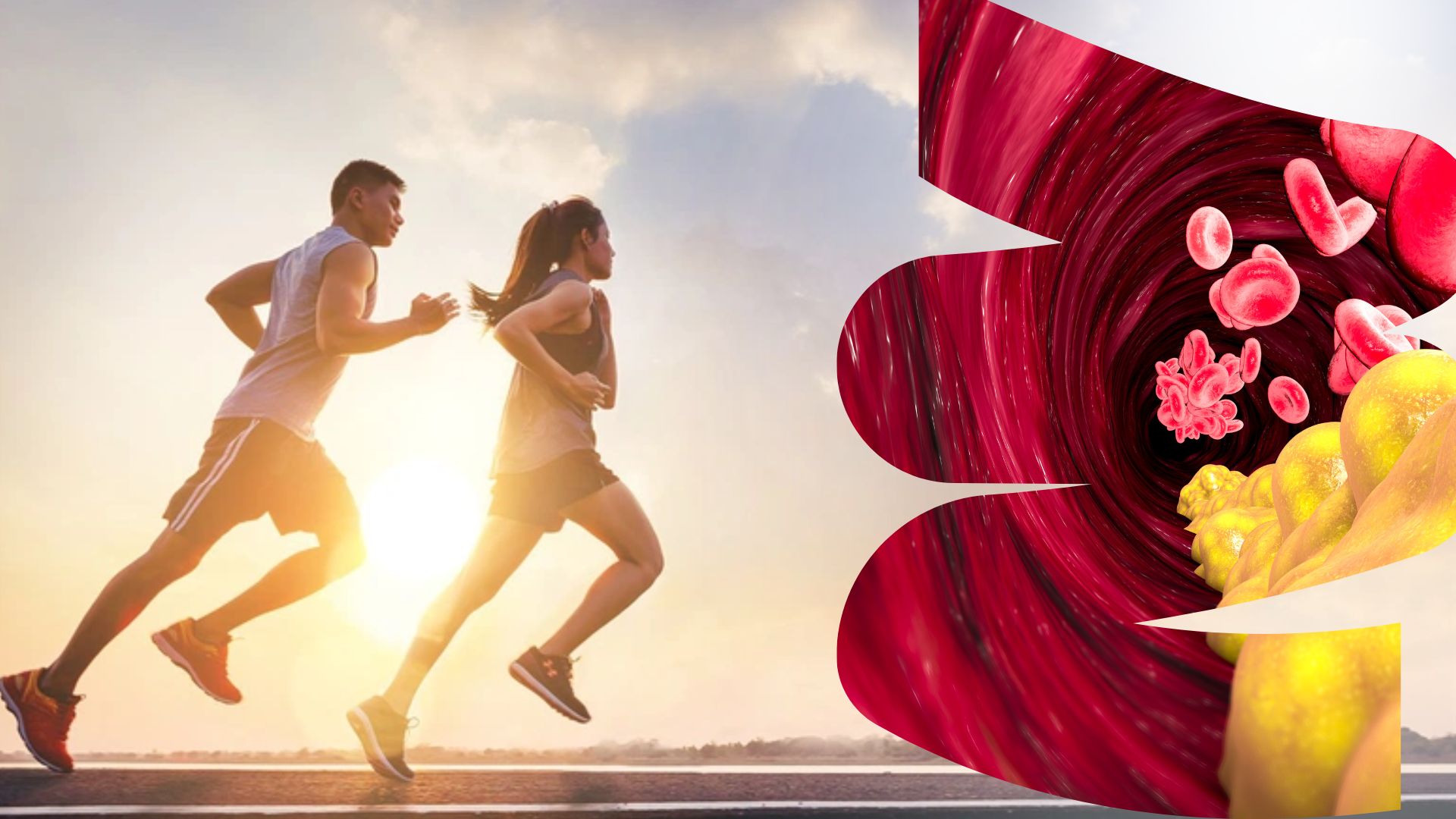 TOP 6 bài tập giúp giảm cholesterol