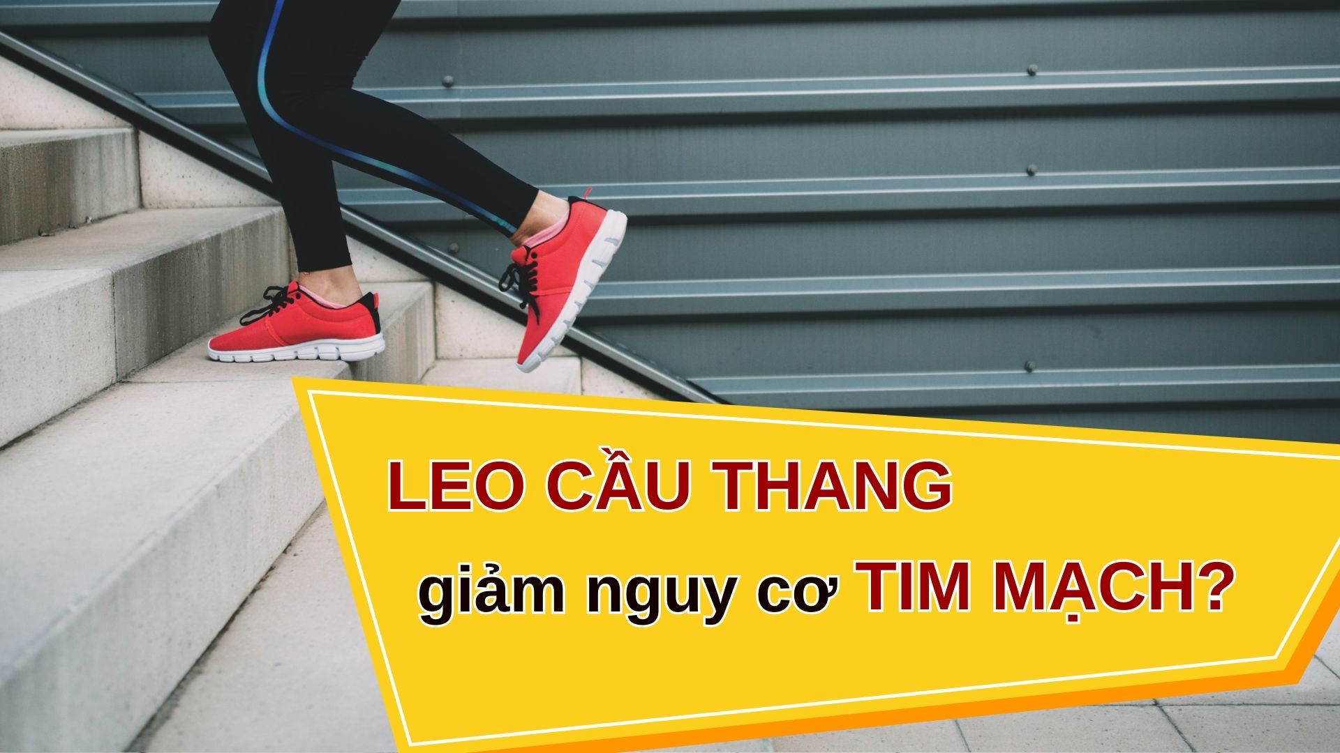 Leo cầu thang có giúp giảm nguy cơ mắc bệnh tim mạch?