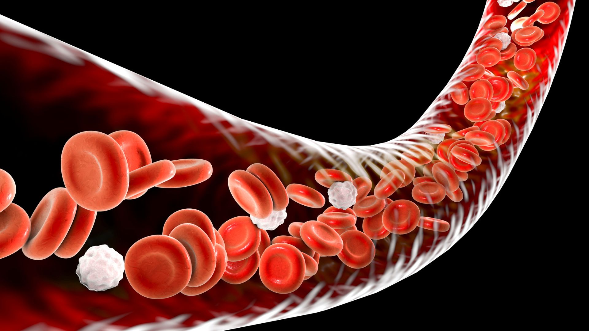 Biểu hiện cho thấy mạch máu của bạn không khoẻ