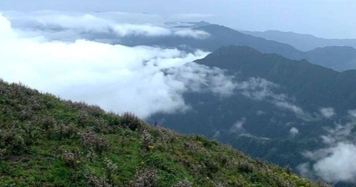 Yên Bái: Người đàn ông đột quỵ tử vong khi đang chinh phục đỉnh Tà Chì Nhù