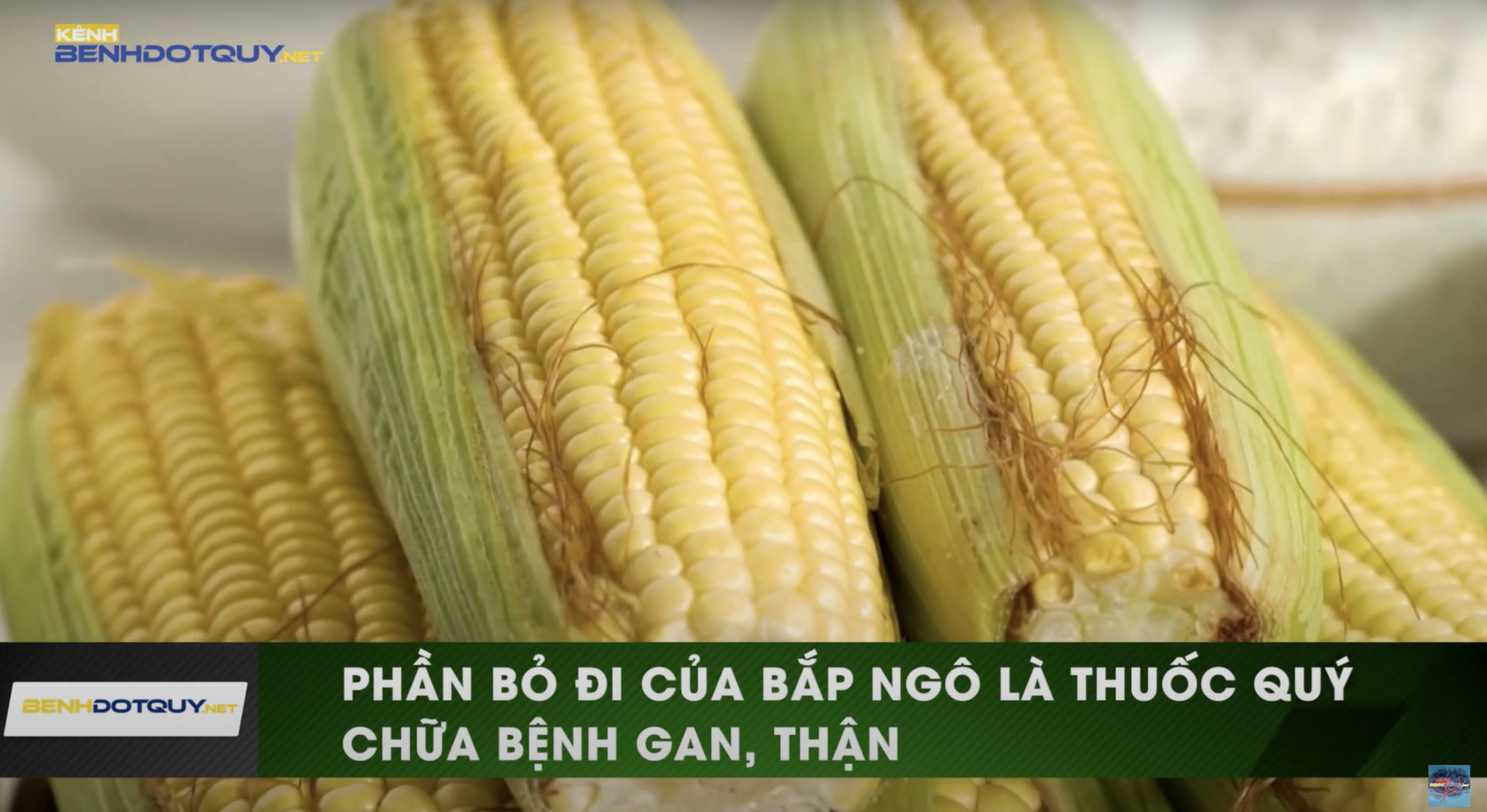 Không chỉ là một phần bỏ đi, râu ngô là một loại thuốc quý chữa bệnh gan, mật