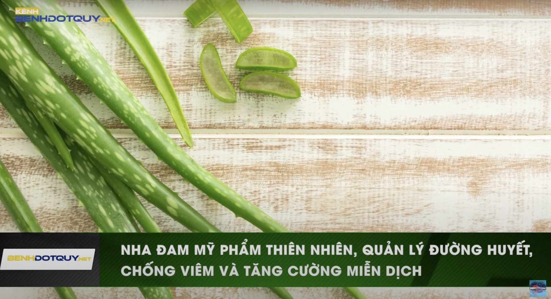 Loại lá “Mỹ phẩm thiên nhiên” ăn được giúp quản lý đường huyết, chống viêm và tăng cường miễn dịch