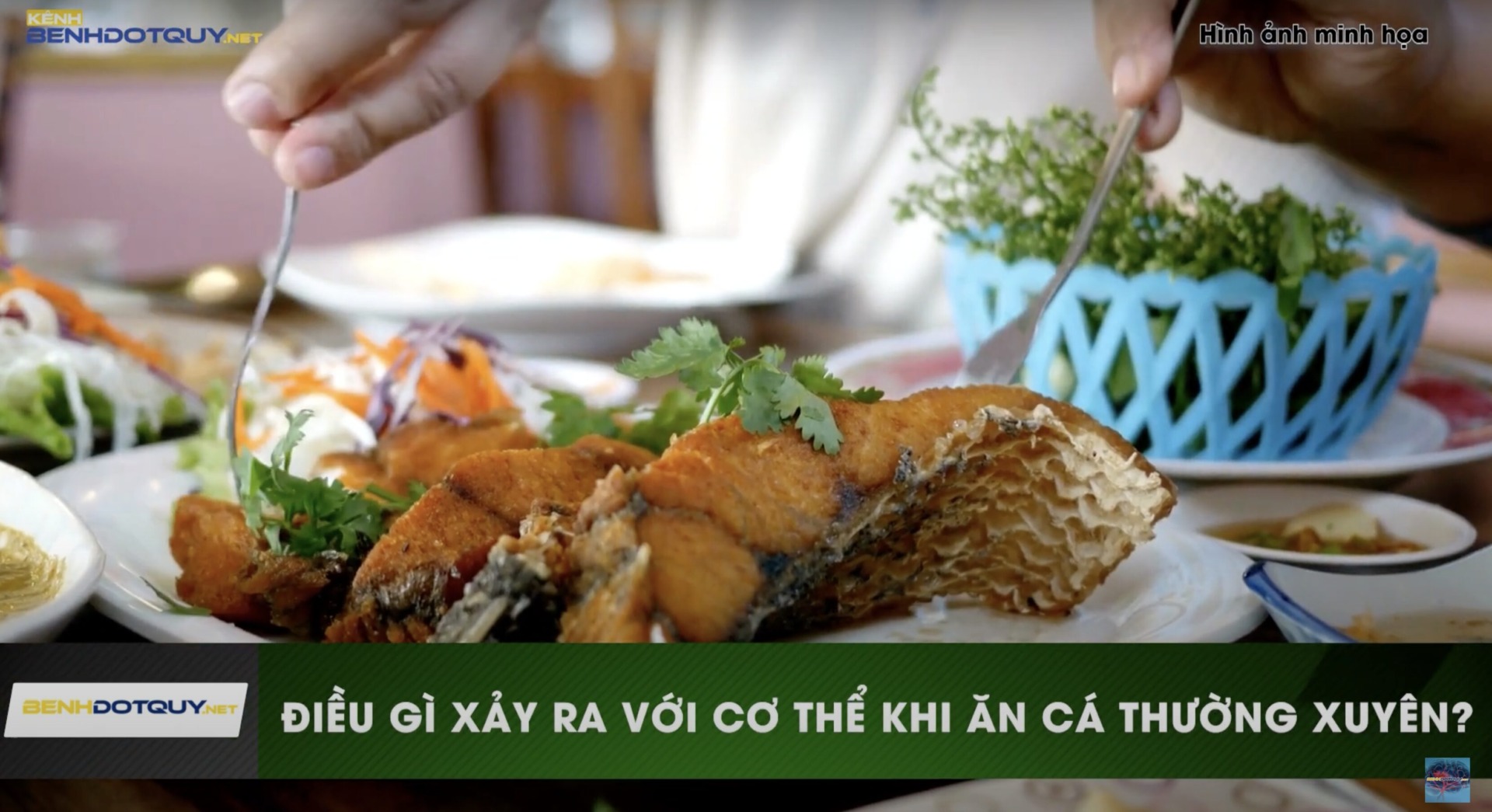 Ăn cá thường xuyên sẽ mang lại lợi ích gì cho sức khỏe?