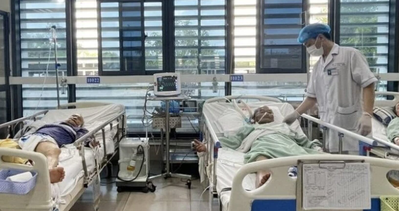 Lạng Sơn: Hai người đàn ông bị suy đa tạng, tổn thương não sau khi uống rượu ngâm rễ cây