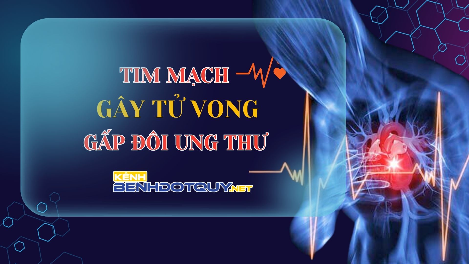 Tim mạch gây ra tỷ lệ tử vong tại Việt Nam cao gấp tôi bệnh ung thư