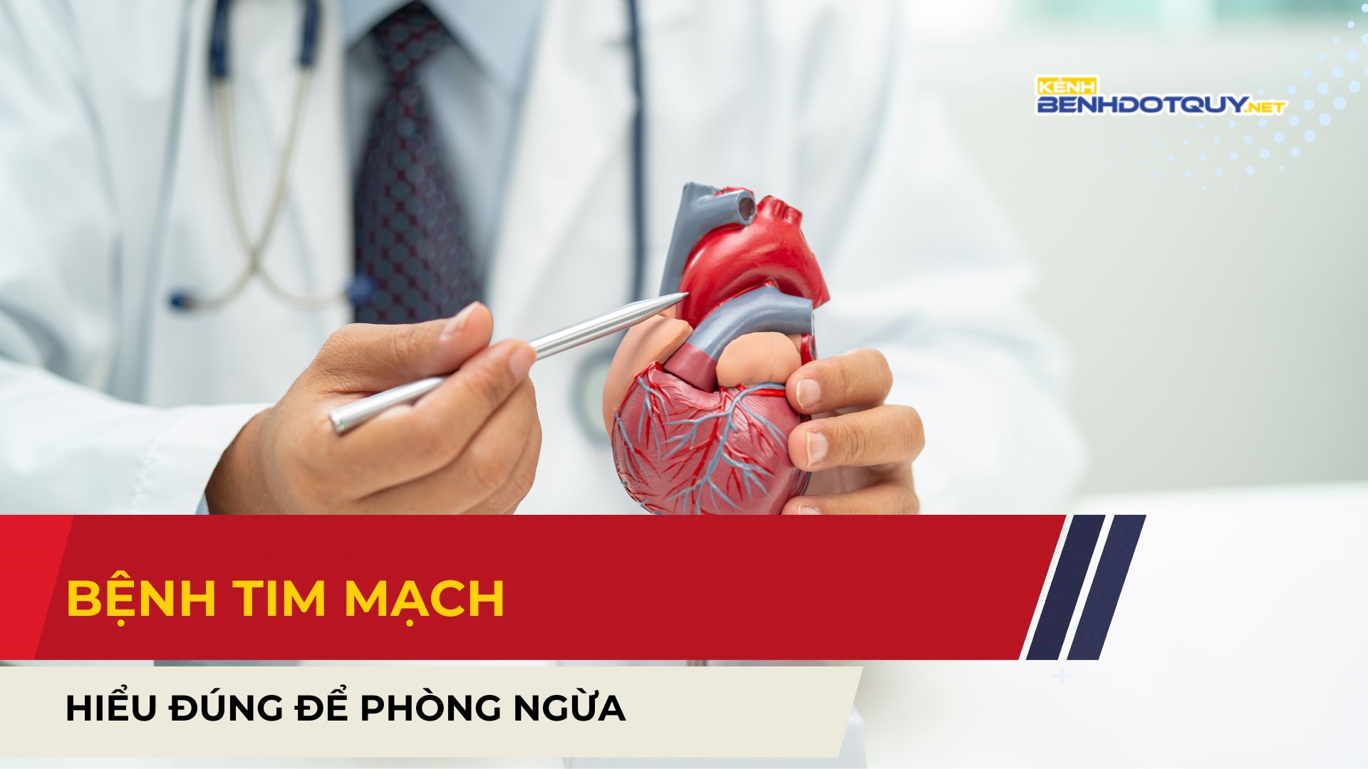 Bệnh tim mạch: Hiểu và phòng ngừa đúng cách
