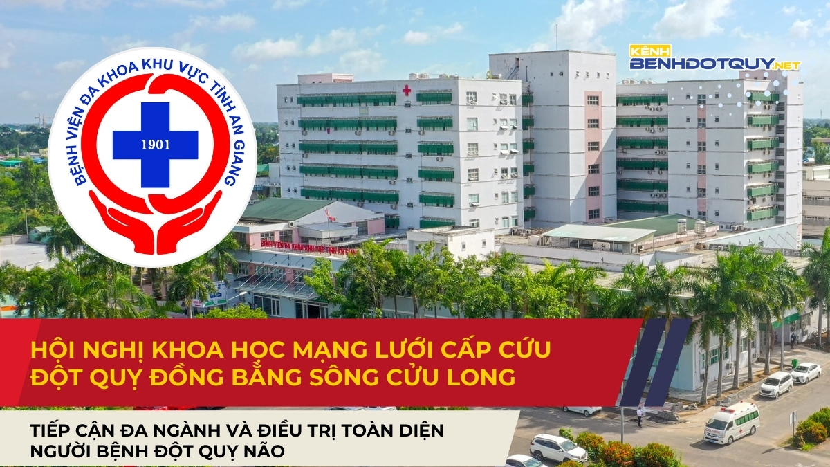 Hội nghị khoa học về mạng lưới cấp cứu đột quỵ khu vực Đồng bằng sông Cửu Long