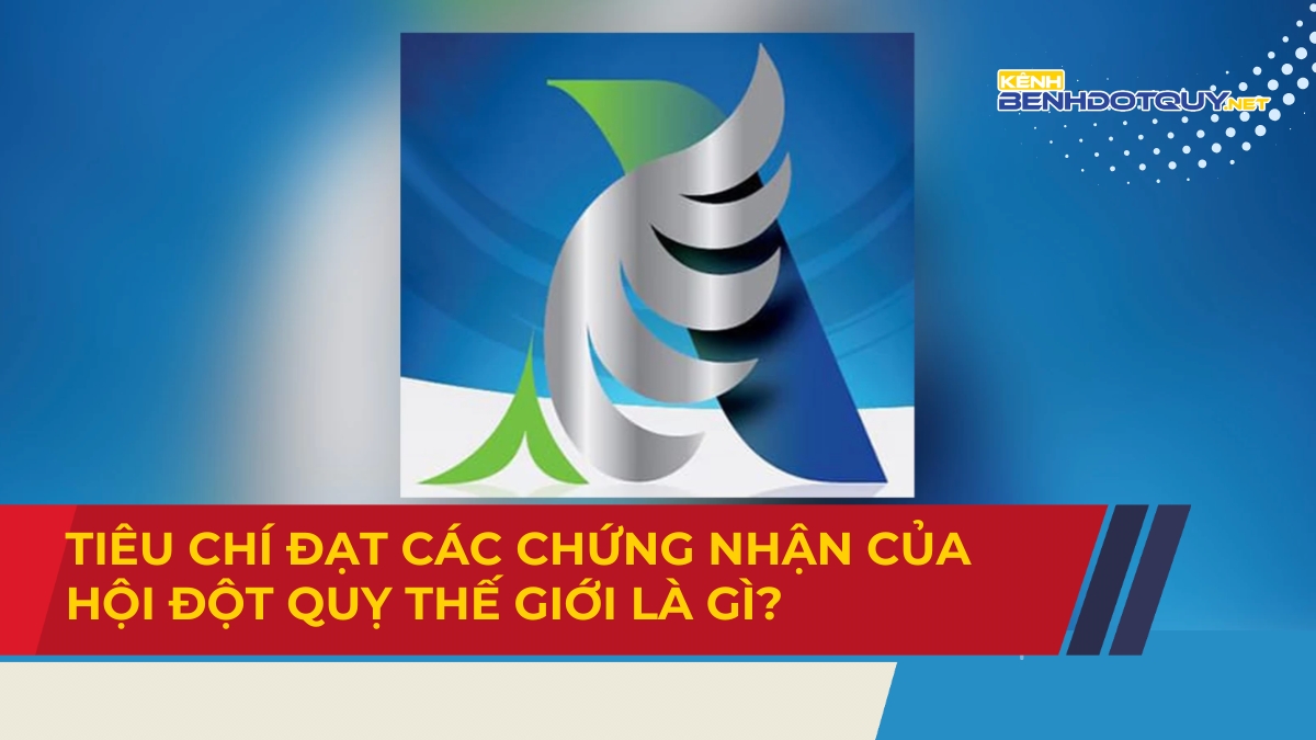 Tiêu chí đạt các chứng nhận của Hội Đột quỵ Thế giới là gì?