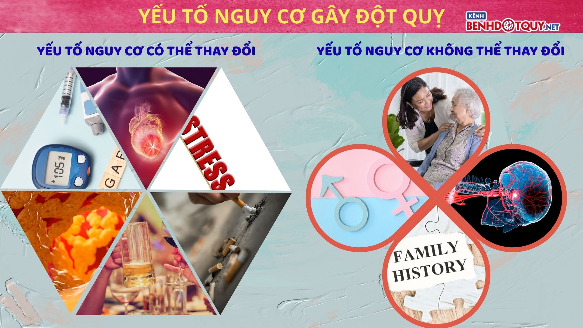 Những nguy cơ dẫn đến đột quỵ: Hiểu rõ để phòng ngừa hiệu quả