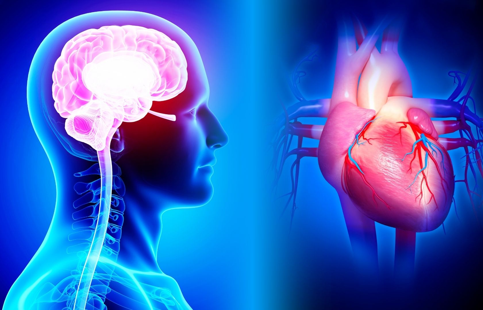 Đột tử và đột quỵ: Khác nhau như thế nào khi xảy ra trên sân tập?